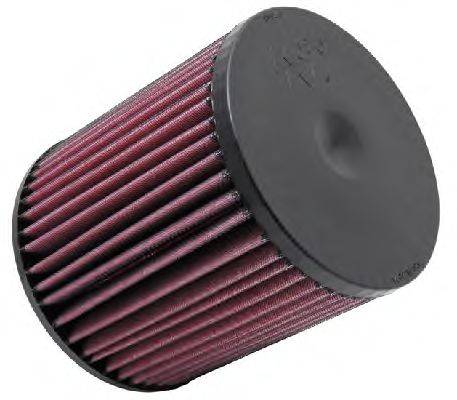 Air Filter E-2999