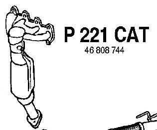 Catalizador P221CAT