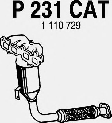 Katalysator P231CAT