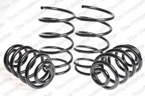 Suspension Kit, coil springs 4508409