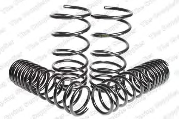Suspension Kit, coil springs 4592520