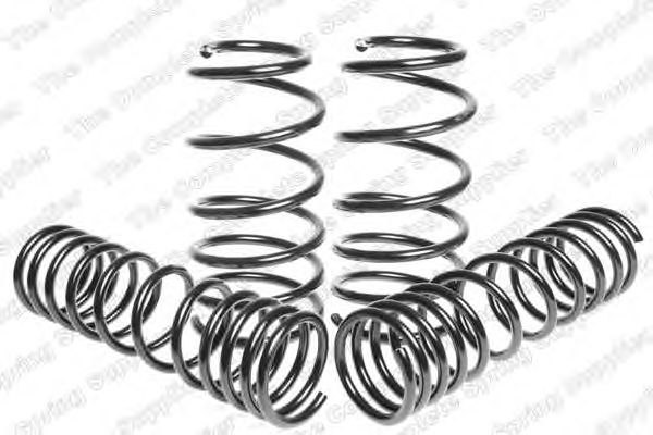 Suspension Kit, coil springs 4595005