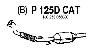 Catalyseur P125DCAT