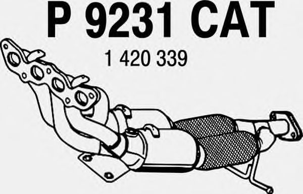 Catalizzatore P9231CAT