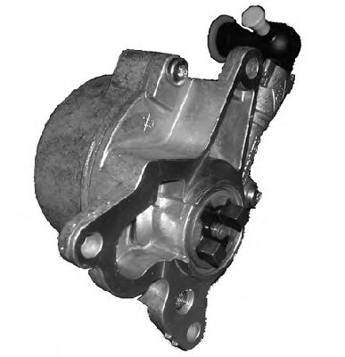 Vacuum Pump, brake system 6900476