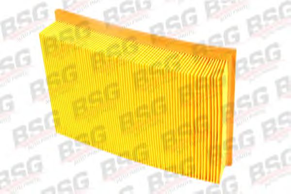 Filtro de ar BSG 30-135-009