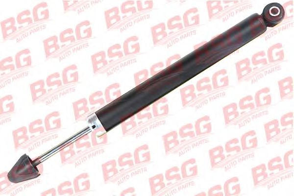 Αμορτισέρ BSG 30-300-022
