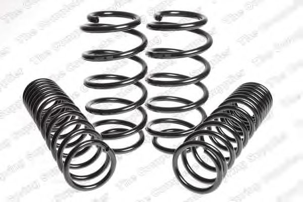 Suspension Kit, coil springs 4504201
