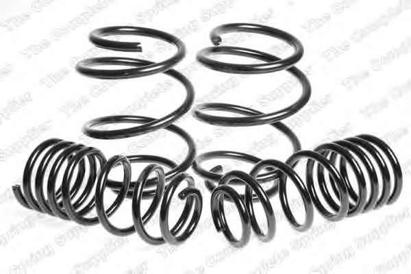 Suspension Kit, coil springs 4558700