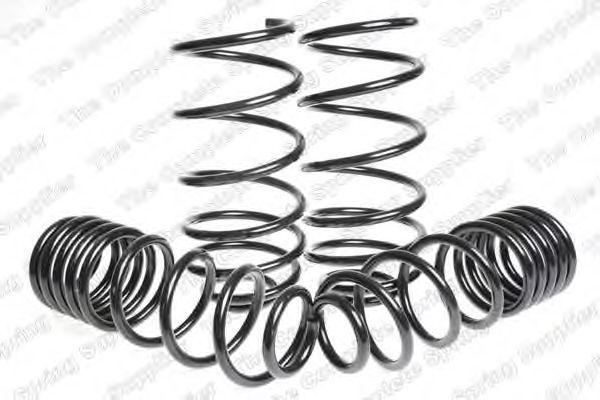 Suspension Kit, coil springs 4595054