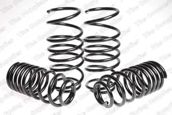 Suspension Kit, coil springs 920011