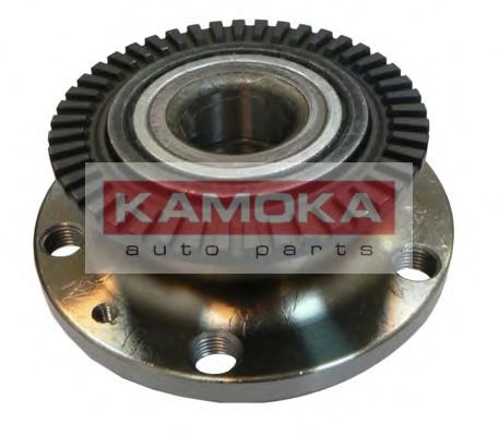 Wheel Bearing Kit 5500044