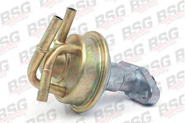 Fuel Pump BSG 30-150-002