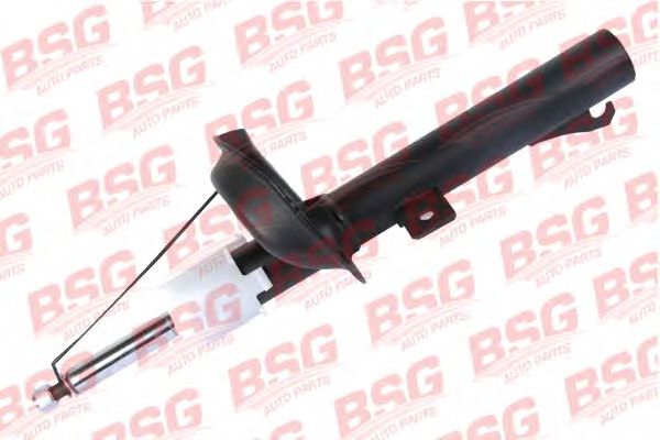 Amortiguador BSG 30-300-020