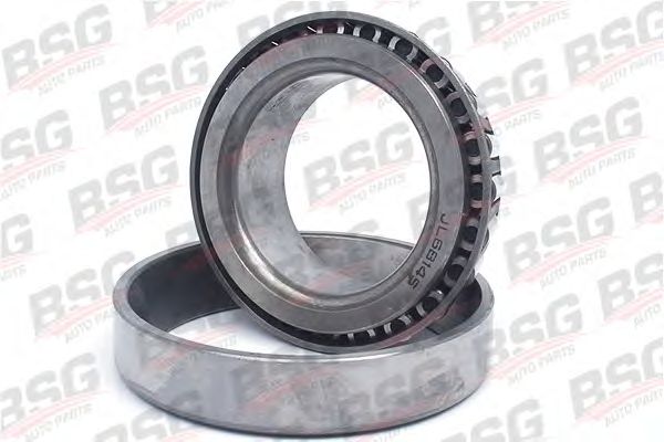 Wheel Bearing BSG 30-605-006