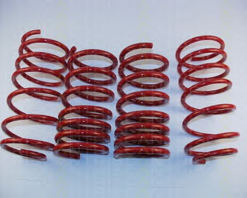 Suspension Kit, coil springs 8755 16003
