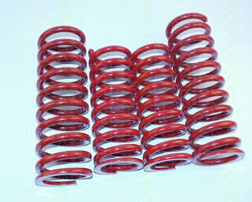Suspension Kit, coil springs 8755 23002