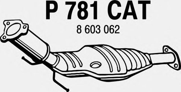 Catalytic Converter P781CAT