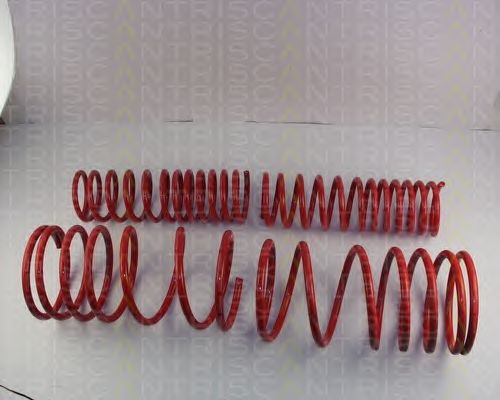 Suspension Kit, coil springs 8755 42004