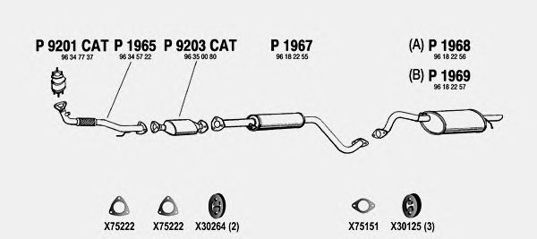 Exhaust System DW716