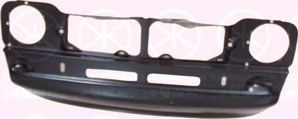 Front Cowling 2519200