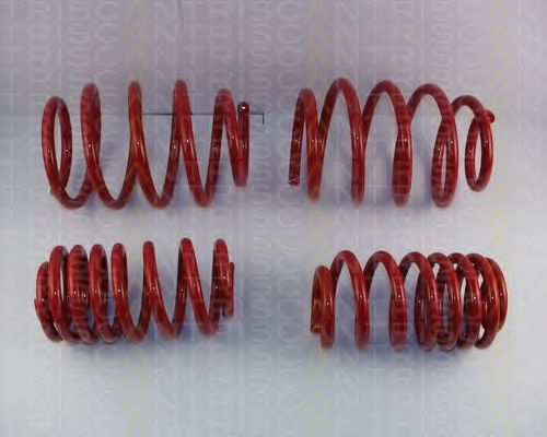 Suspension Kit, coil springs 8755 29043