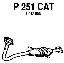 Catalytic Converter P251CAT