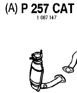 Catalisador P257CAT