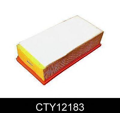 Hava filtresi CTY12183