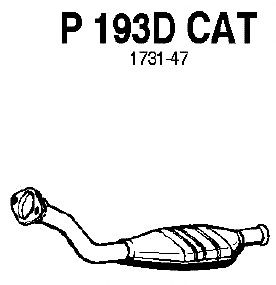 Catalytic Converter P193DCAT