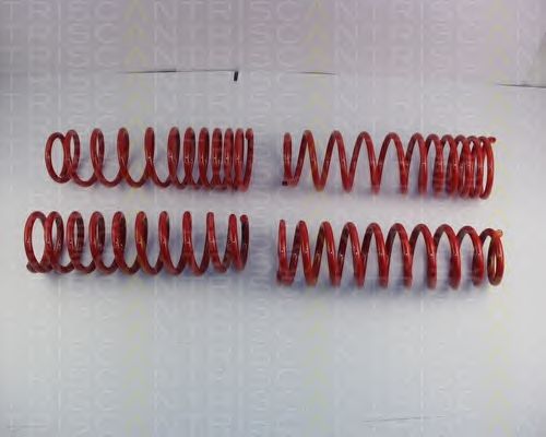 Suspension Kit, coil springs 8755 40003