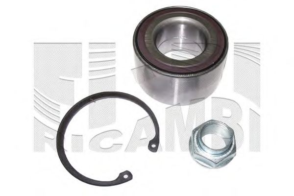 Wheel Bearing Kit RK1793