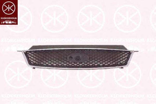 Radiator Grille 2534991A1