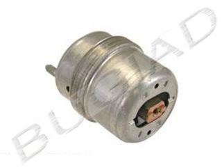 Engine Mounting BSP20822