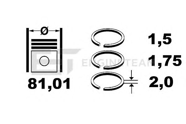 Piston Ring Kit R1005100