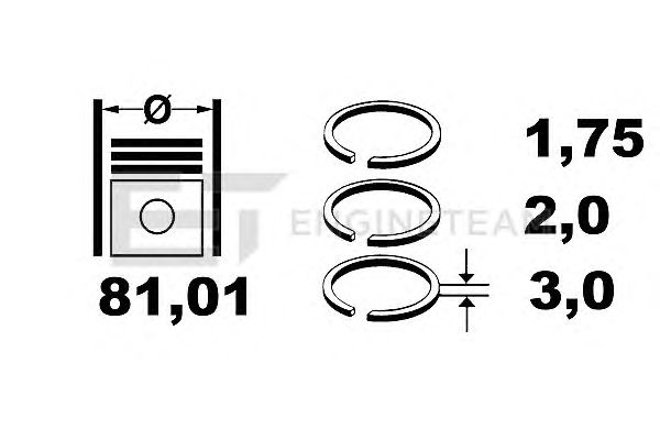 Piston Ring Kit R1005600