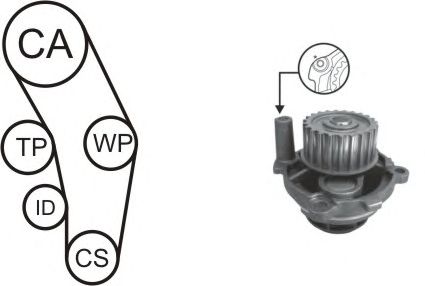 Water Pump & Timing Belt Kit WPK-170302