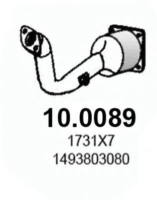 Catalytic Converter 10.0089