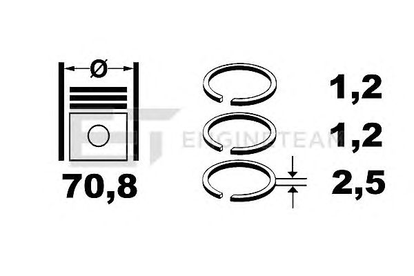 Piston Ring Kit R1001800