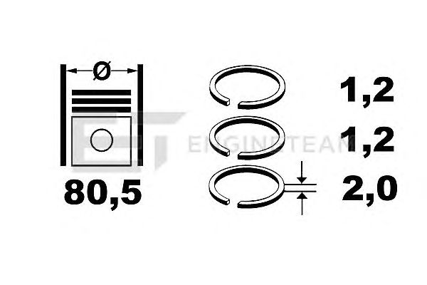 Piston Ring Kit R1002000