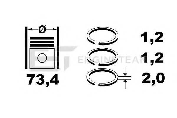 Piston Ring Kit R1003600
