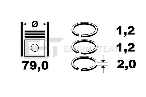 Segman seti R1003700