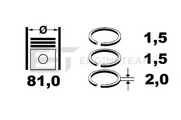 Piston Ring Kit R1005300