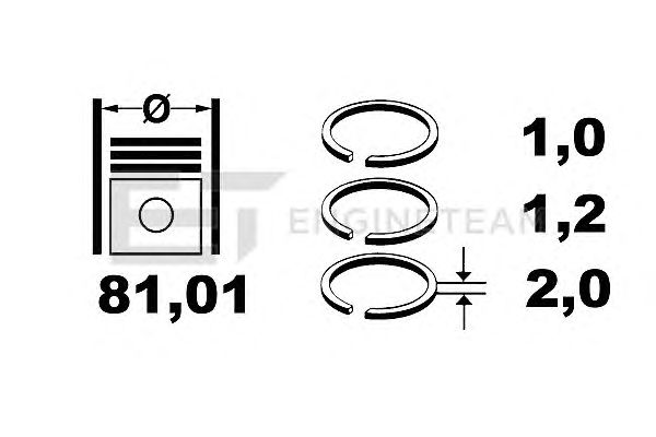 Piston Ring Kit R1005700