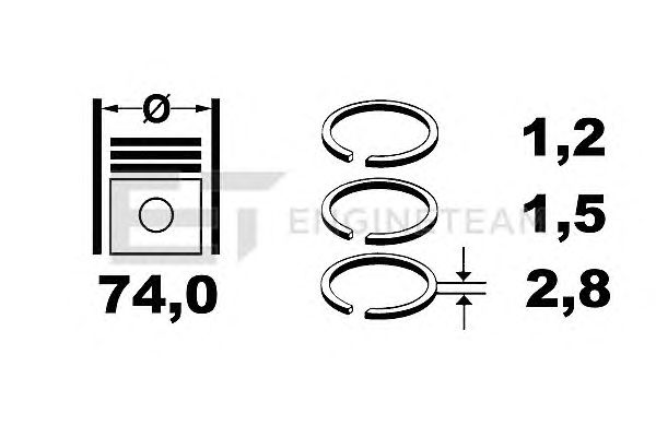 Piston Ring Kit R1005900