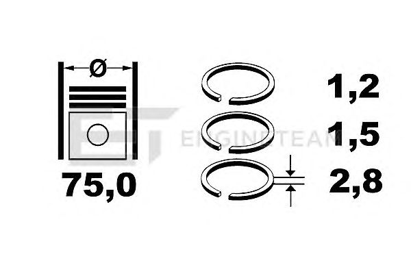 Piston Ring Kit R4000100