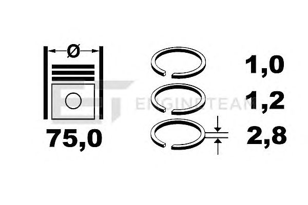 Piston Ring Kit R4000200