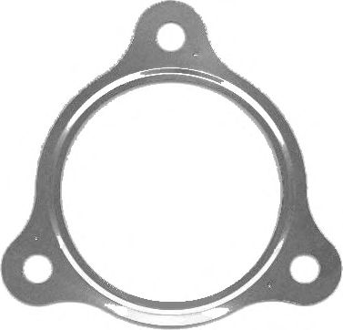 Gasket, exhaust pipe 423.010