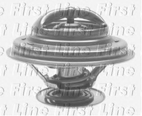 Thermostat, coolant FTS159.87