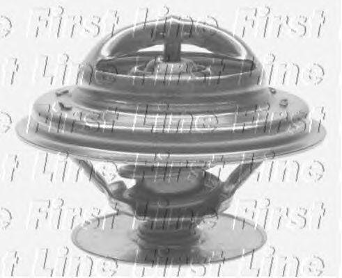 Thermostat, coolant FTS173.79